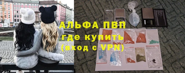 молекула духа Арсеньев