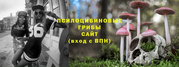 дурь Аркадак