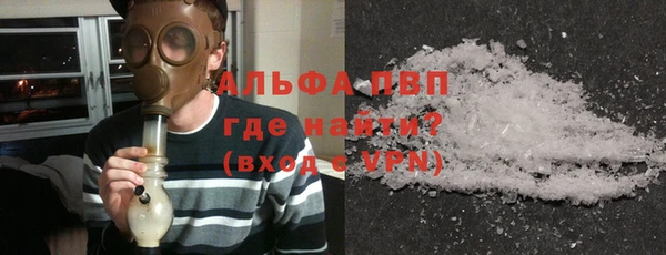 молекула духа Арсеньев