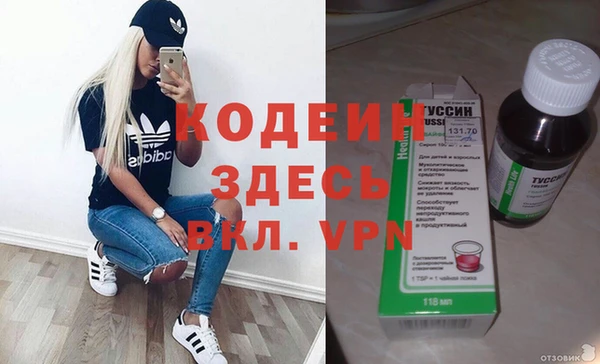 молекула духа Арсеньев