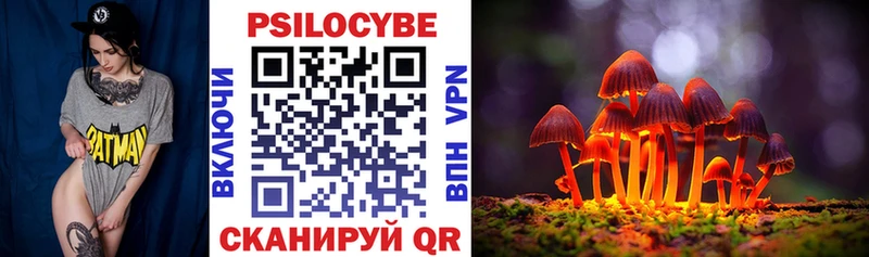 купить наркотики сайты  Азов  Псилоцибиновые грибы Cubensis 